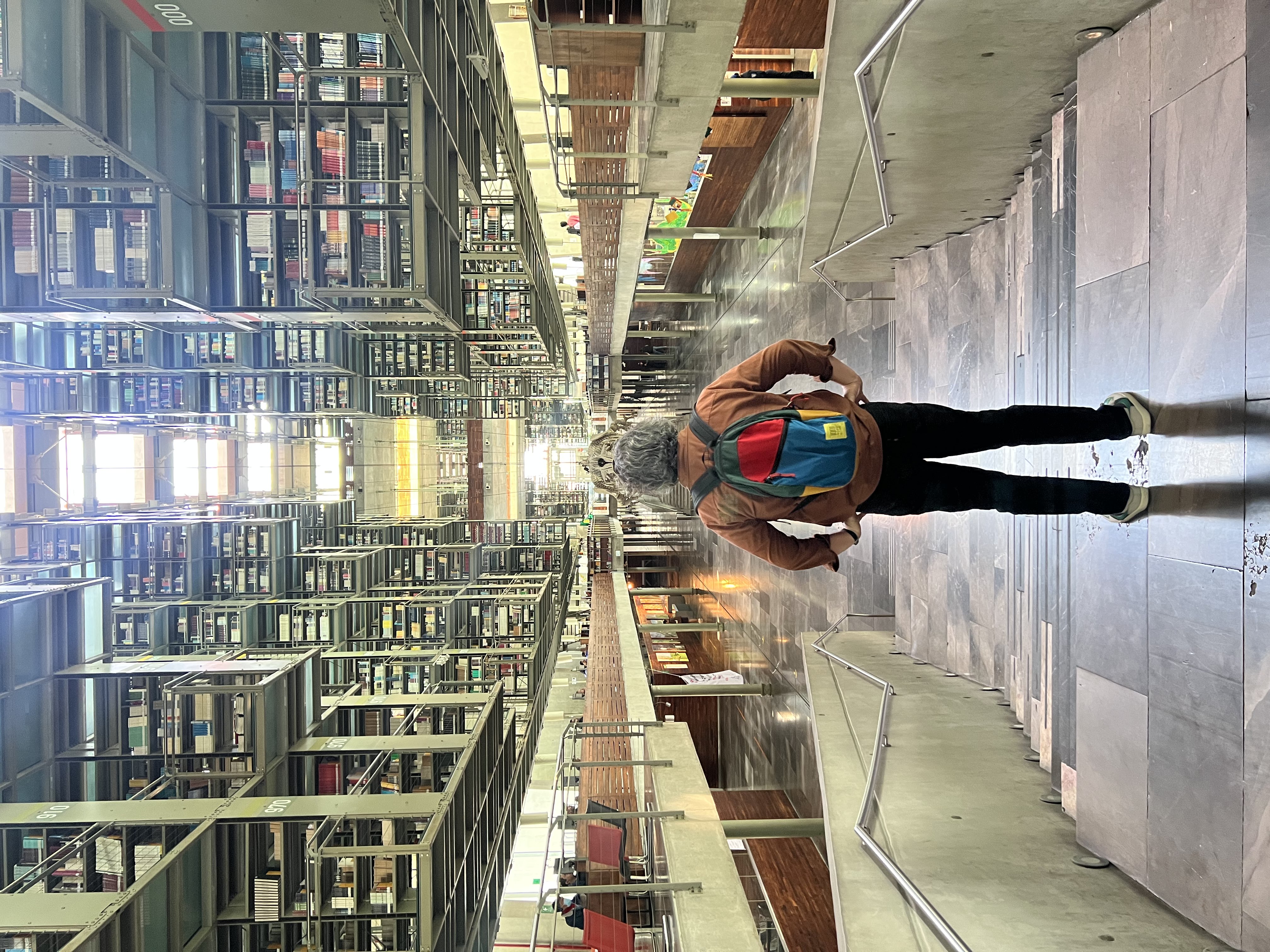 Biblioteca Vasconcelos